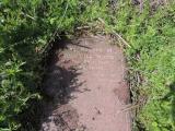 image of grave number 728686